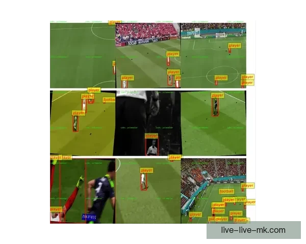 小沃足球视频直播带你畅享全球赛事精彩瞬间与深度解析互动社区实时数据